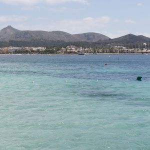 Meet your Posher, Bella